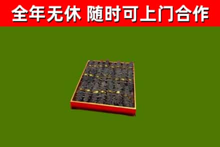怀仁回收海参